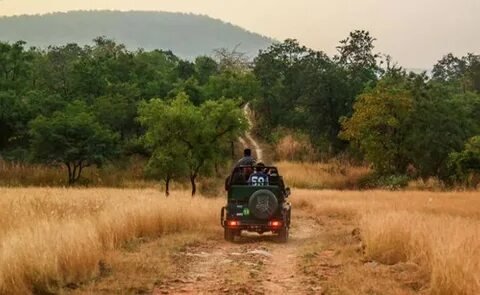 Panna Tiger Reserve Safari